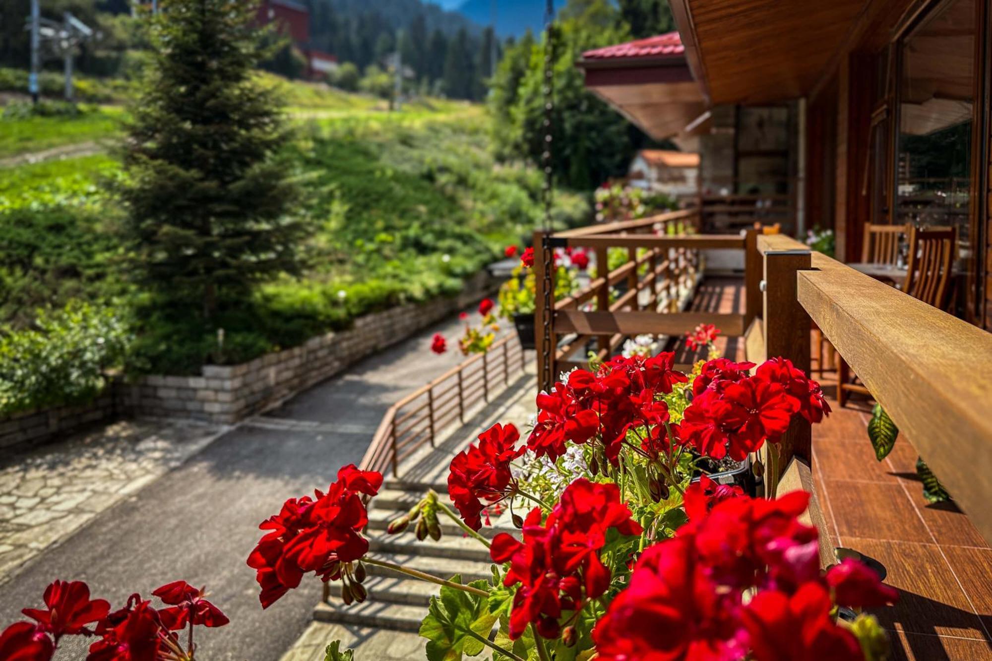 Musala Hotel Боровец Екстер'єр фото